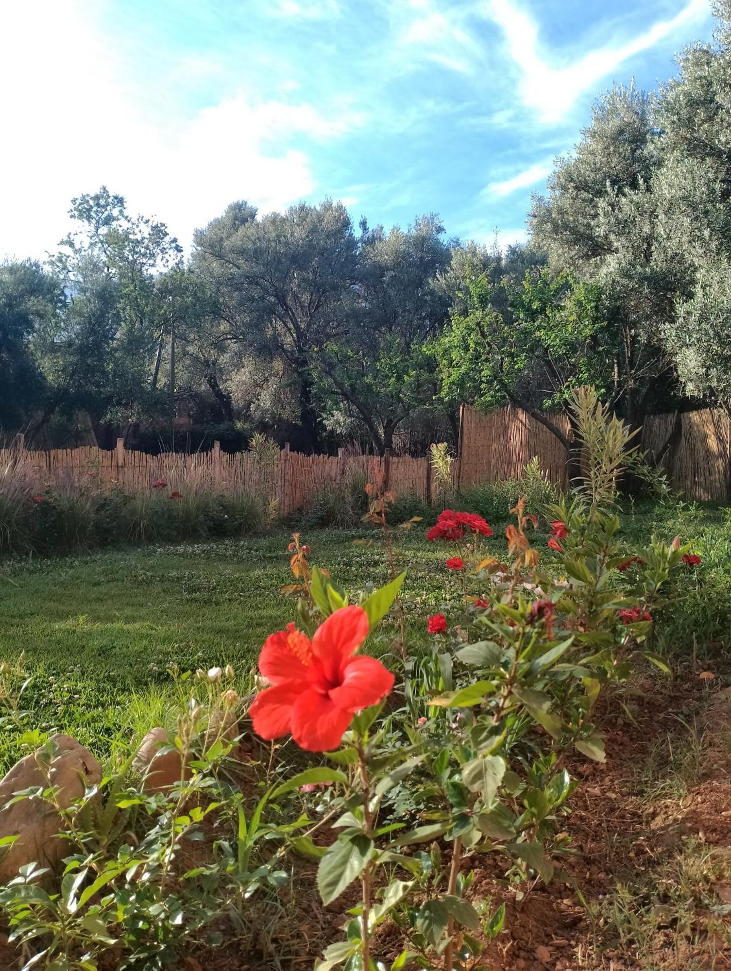 Riad Idar ウリガン 部屋 写真